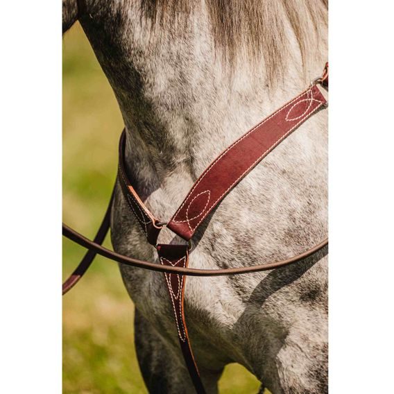 *W* Uzdečka a poprsník Cassini Stitch