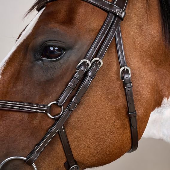 Uzdečka Dy'on Figure 8 Noseband Bridle WOAQHC