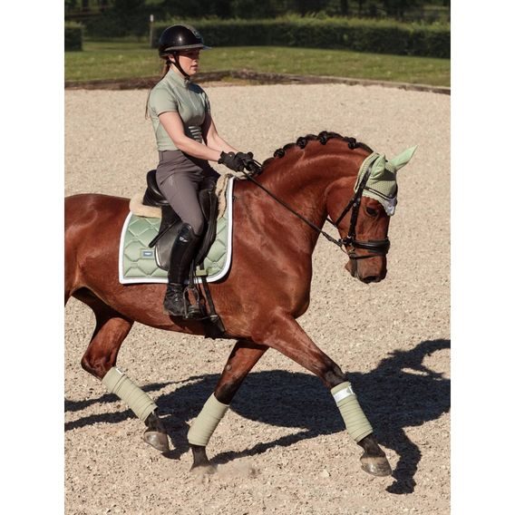 Podsedlová dečka Equestrian Stockholm Pistachio White Kolekce 2026