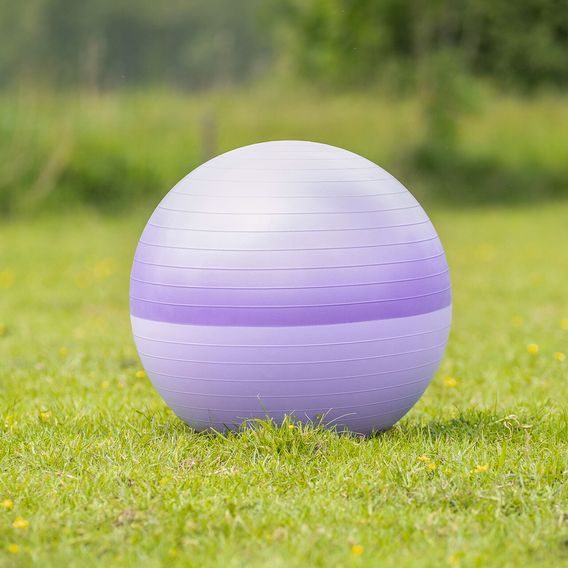 Míč na hraní QHP Horse Football 75 cm