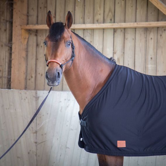 Deka lehká stájová / odpocovací Paddock Sport DOPRODEJ