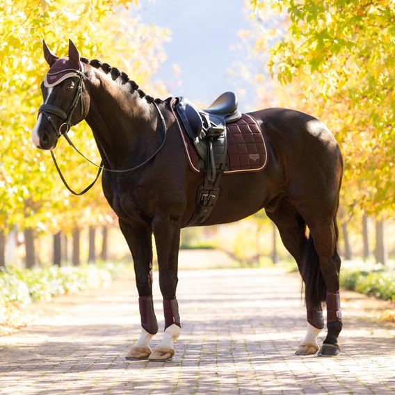 Podsedlová dečka LeMieux Loire Classic Damson Kolekce 2025/26