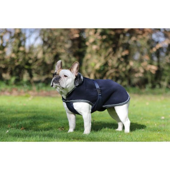 Deka na psa Bucas Show-Line