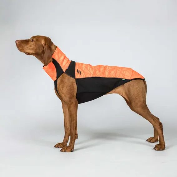 Deka na psa Back On Track BARK Visibility Suit