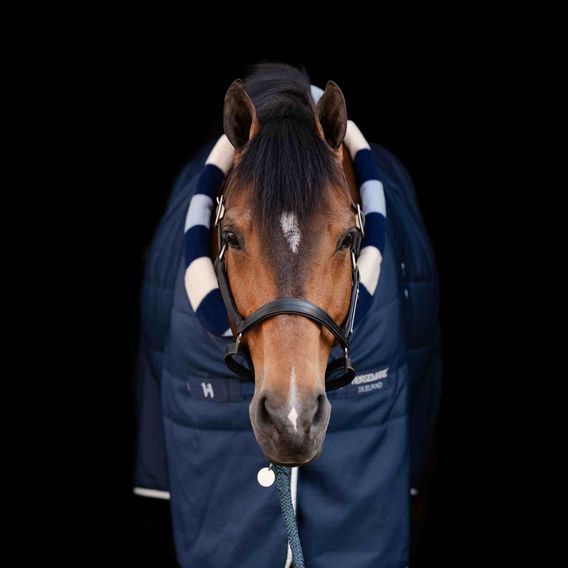 Deka stájová Horseware Newmarket Cosy 200g