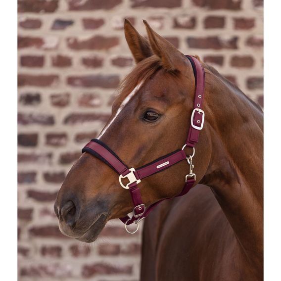 Ohlávka W Breath Mesh