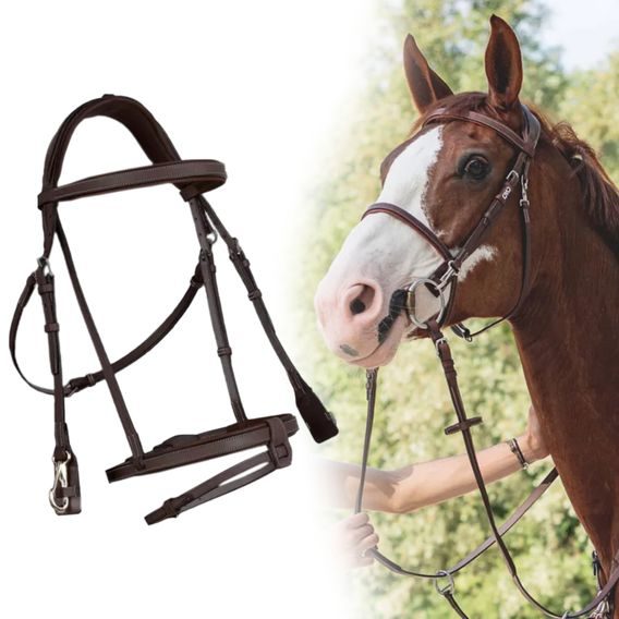 Uzdečka CWD BR11FH Training