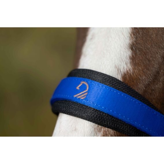 Ohlávka Lauria Garelli Amalfi Kolekce 2025