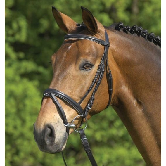 Uzdečka STAR Lifestyle a.k.n.