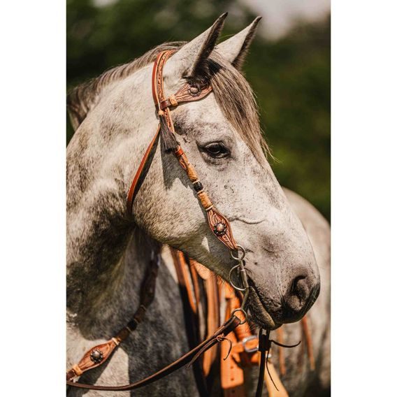 *W* Uzdečka a poprsník Cassini Copper