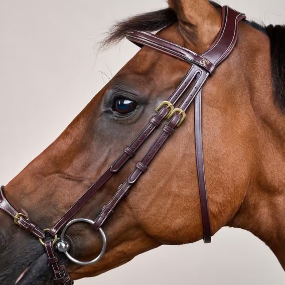 Uzdečka Dy'on Adjustable Drop Noseband DYAAAE