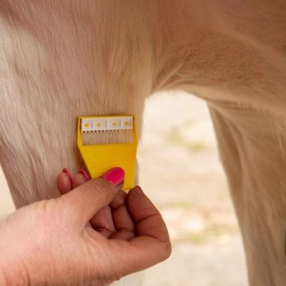 Zastřihovač chloupků Horse Athlere Smar Grooming Equi-Shave