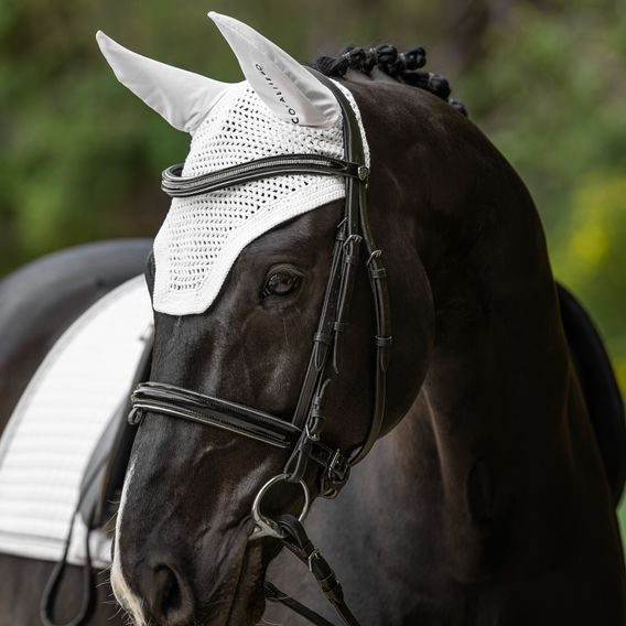 Čabraka na uši Covalliero Kolekce 2025