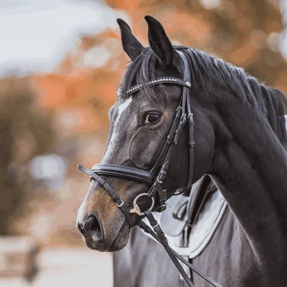 Oliva Sprenger KK Ultra Sensogan 2xlomená 18mm