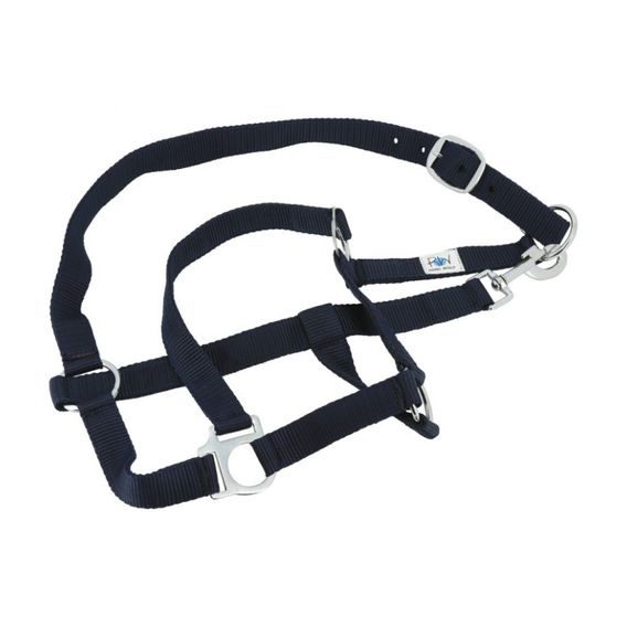 Sada odpocovací deka+ohlávka s vodítkem+sada bandáží Equitheme Complete