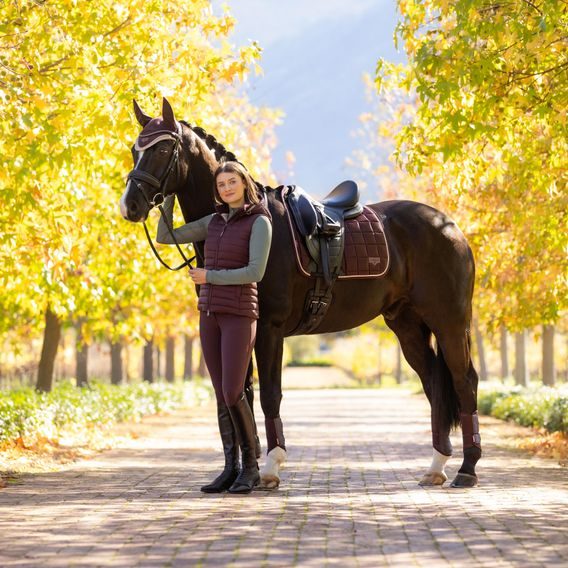 Podsedlová dečka LeMieux Loire Classic Damson Kolekce 2025/26
