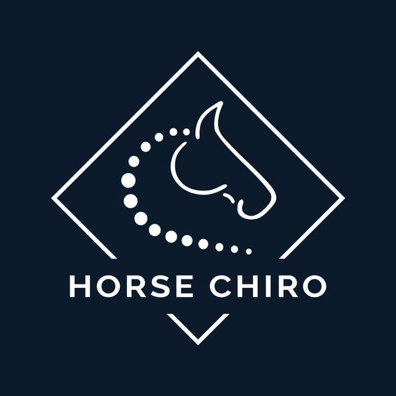 Veterinární chiropraxe a fyzioterapie - HORSE CHIRO