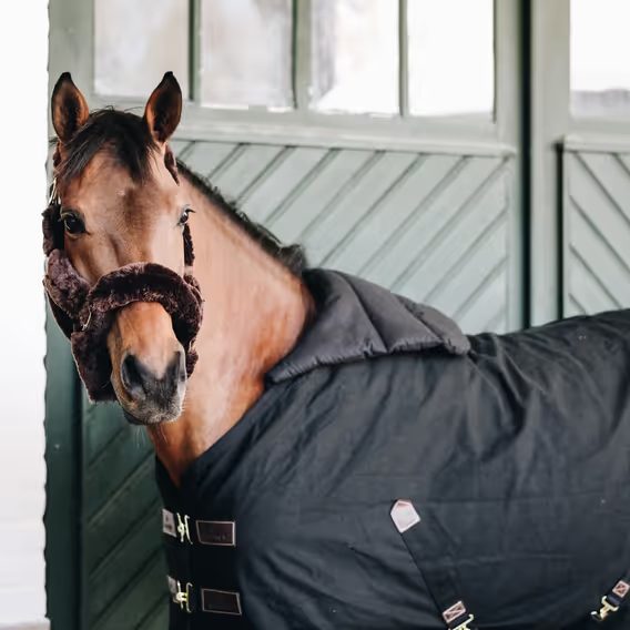 Podložka pod přední zapínání Kentucky Horse BIB summer DOPRODEJ