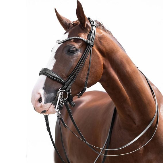 Uzda HKM Kate DOPRODEJ