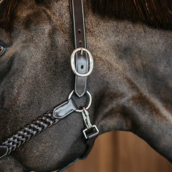 Ohlávka kožená Dy'on Working Plaited