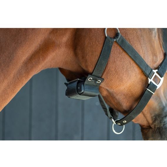 Birth Alarm Lite 2.0