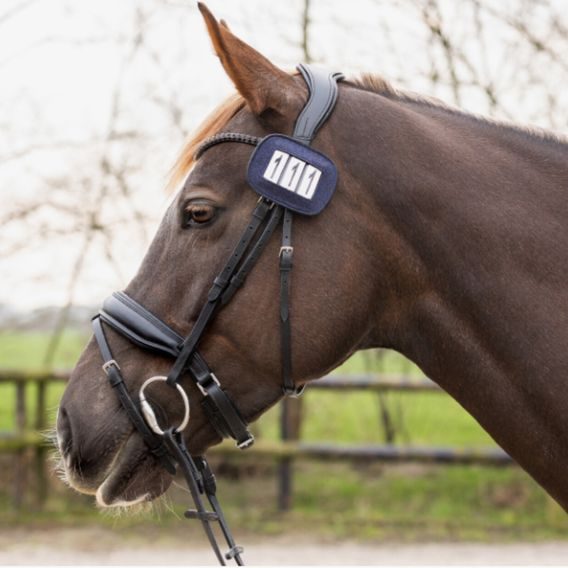 Startovní číslo QHP Shine