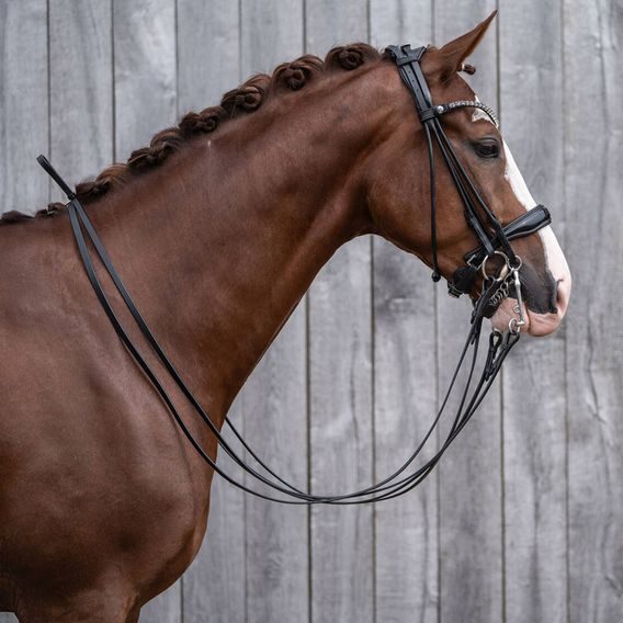 Uzda HKM Kate DOPRODEJ