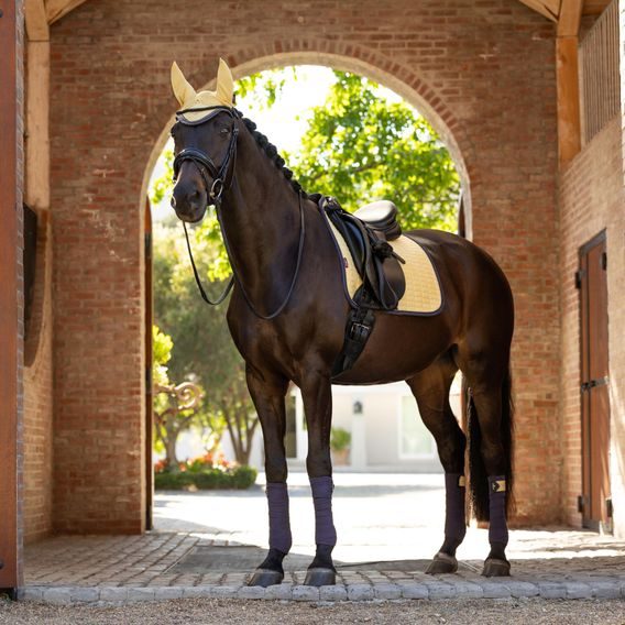 Podsedlová dečka LeMieux Suede Square Mimosa Kolekce 2025