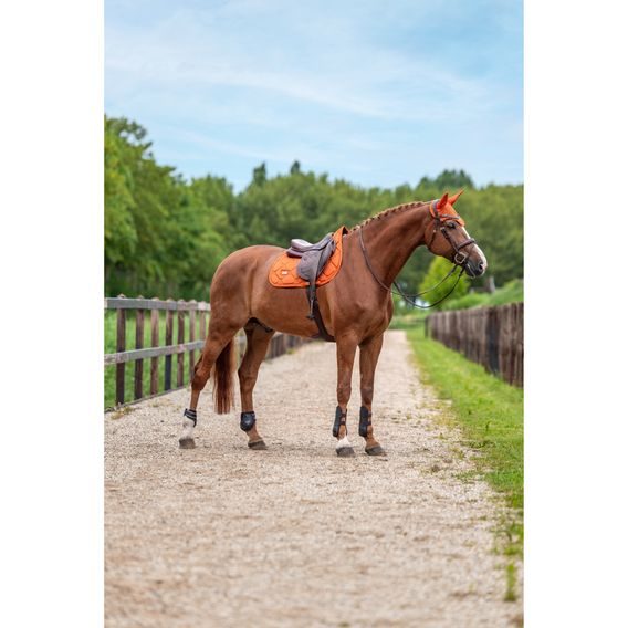 Podsedlová dečka Equestrian Stockholm Satin Chestnut Kolekce 2026/27