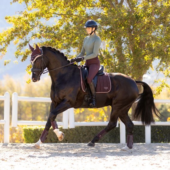 Podsedlová dečka LeMieux Loire Classic Damson Kolekce 2025/26