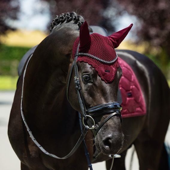 Čabraka na uši Equestrian Stockholm Velvet Merlot Kolekce 2026/27