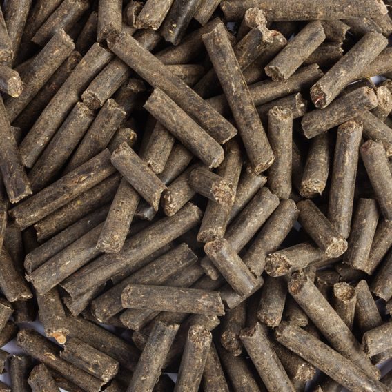 *EQS* Podpora dýchání