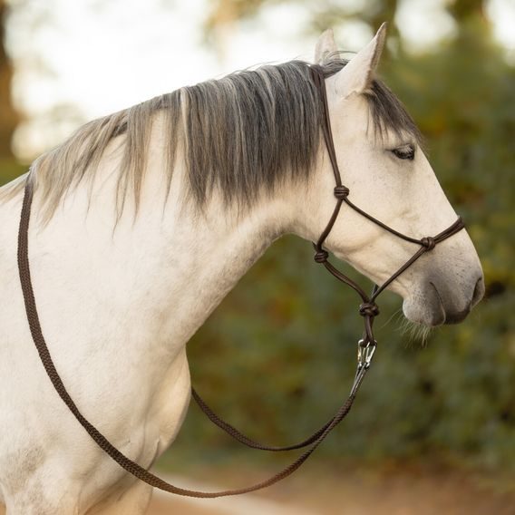 Provazová ohlávka kožená QHP Liberta