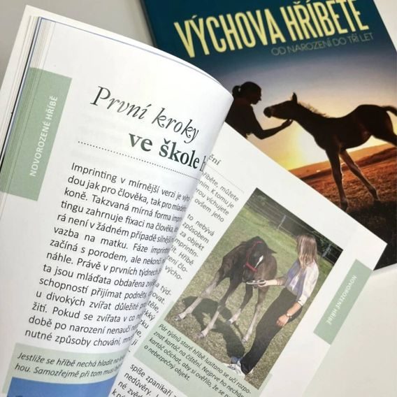 Publ Ettl Výchova hříběte - od narození do tří let