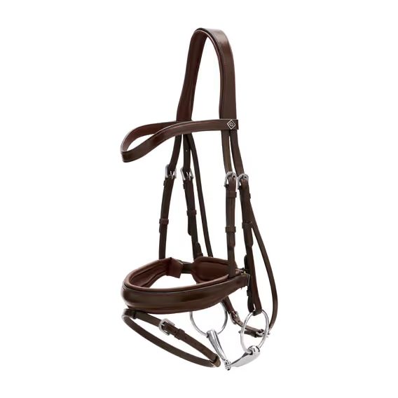 Uzdečka Dy'on Matte Large Crank Noseband Bridle With Flash WODCAM
