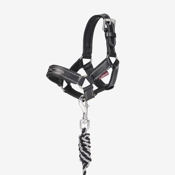 Ohlávka s vodítkem LeMieux Toy Pony Leather Kolekce 2026