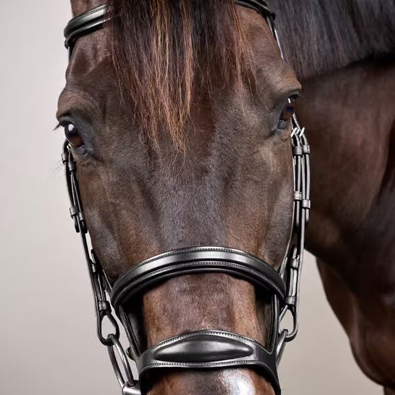 Uzdečka Dy'on Double Noseband Bridle NEAAAH