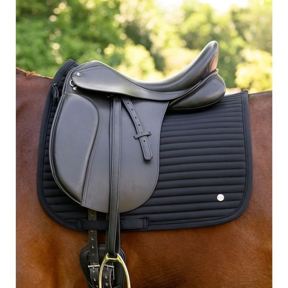 Podsedlová dečka W Trinidad Kolekce 2026