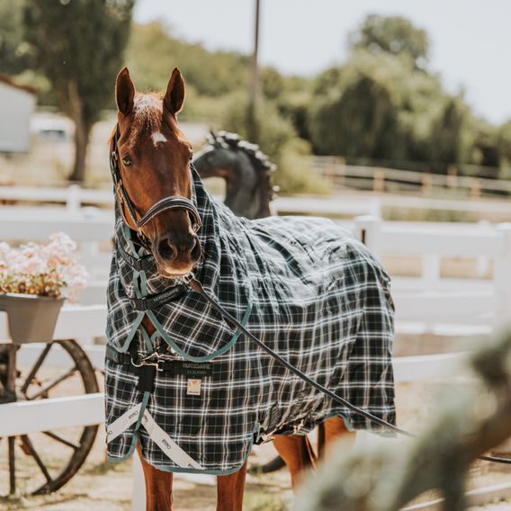 Deka Horseware Rhino Plus Turnout Vari-Layer 250g