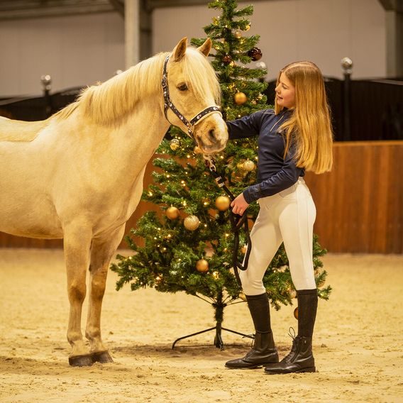 Ohlávka nylon QHP Christmas