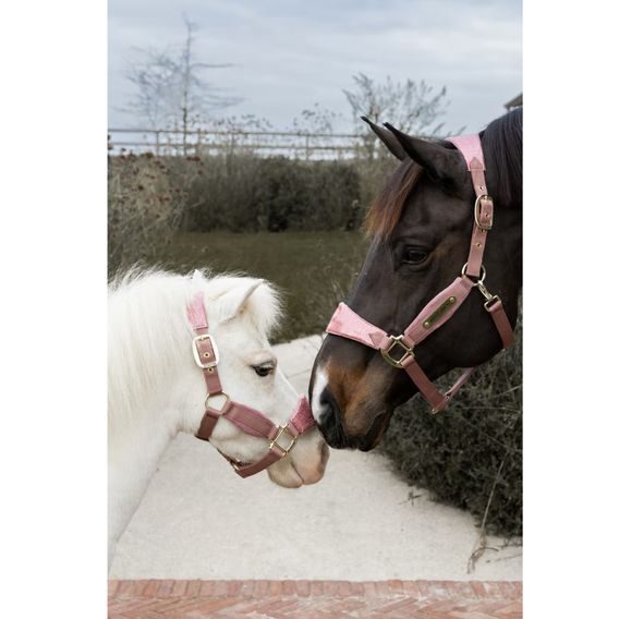 Ohlávka Kentucky Velvet Glitter