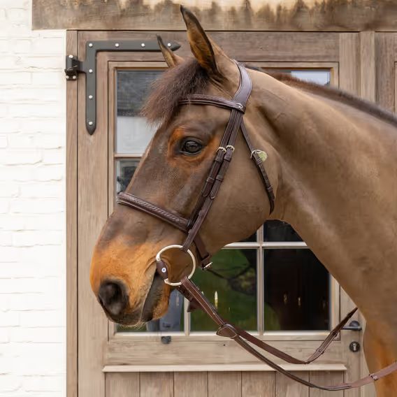 Oliva nelomená Velari by Kentucky Flex 20mm Hard