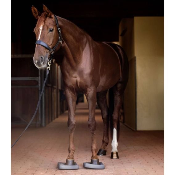 Balanční podložky W Health + Care