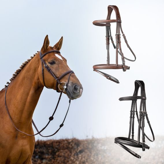 Uzdečka Trust Knokke a.k.n.