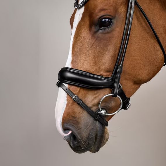 Uzdečka Dy'on ComfoHead Bridle WOIHHS
