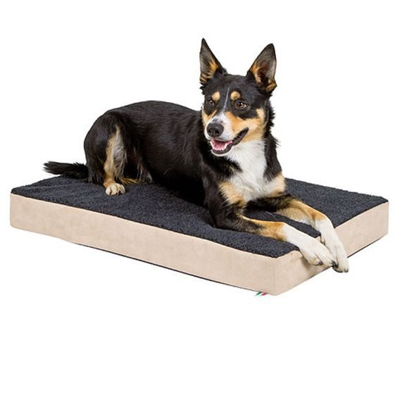 Matrace pro psa z paměťové pěny