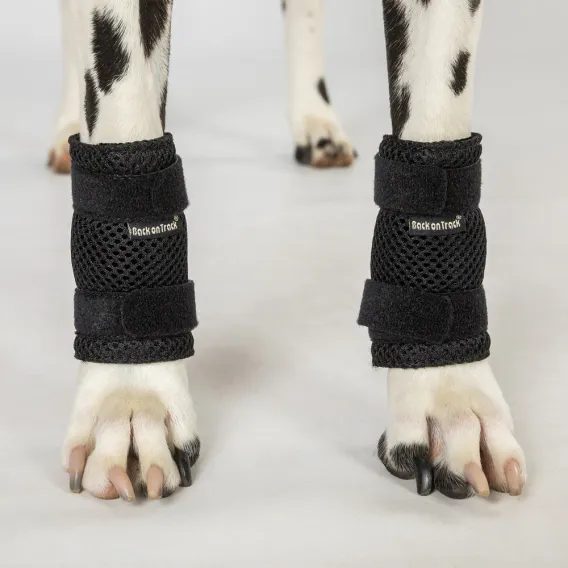 Kamaše Back on Track Milo pro psa 3106 pár