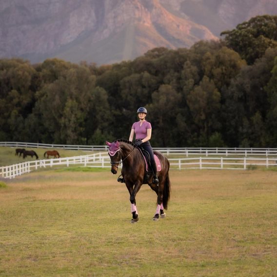 Podsedlová dečka LeMieux Loire Classic Square Kolekce 2026