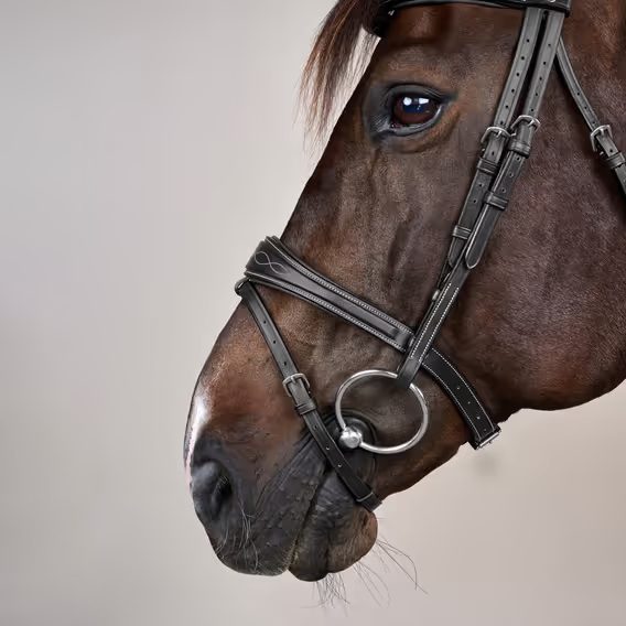 Uzdečka Dy'on Anatomic Flash Noseband USABAB