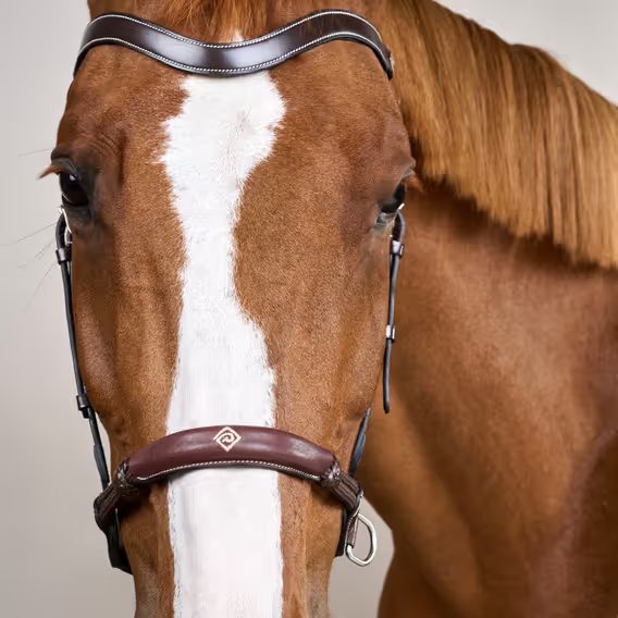 Uzdečka Dy'on Bitless WO